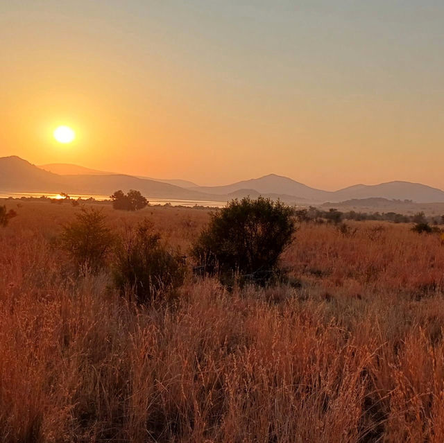 Unforgettable Wildlife Adventure at Pilanesberg National Park!