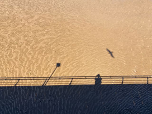 Charming Day at Cleethorpes Pier 🎡🌊