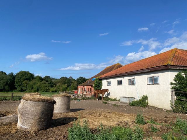 Discovering the Charm of Eynsford 🌿🏰 