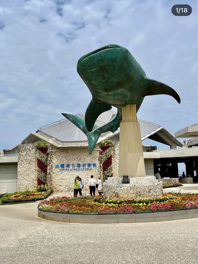 🇯🇵沖繩｜亞洲最大海水水族館看鯨鯊