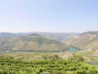 🇵🇹杜羅河谷Douro valley｜遊船賞巨幅葡萄園美景