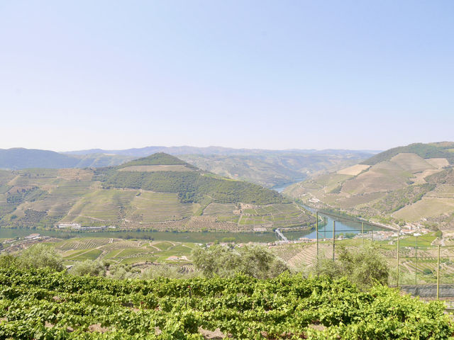 🇵🇹杜羅河谷Douro valley｜遊船賞巨幅葡萄園美景