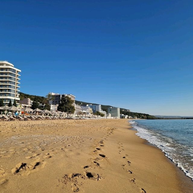 Beachfront Bliss at Hotel Sentido Marea 🚂🌊