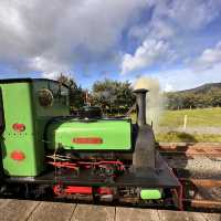 Discover Scenic Splendor on the Llanberis Lake Railway: A Family-Friendly Adventure!”
