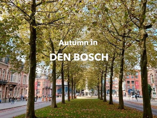 เที่ยวฤดูใบไม้เปลี่ยนสีที่ Den Bosch