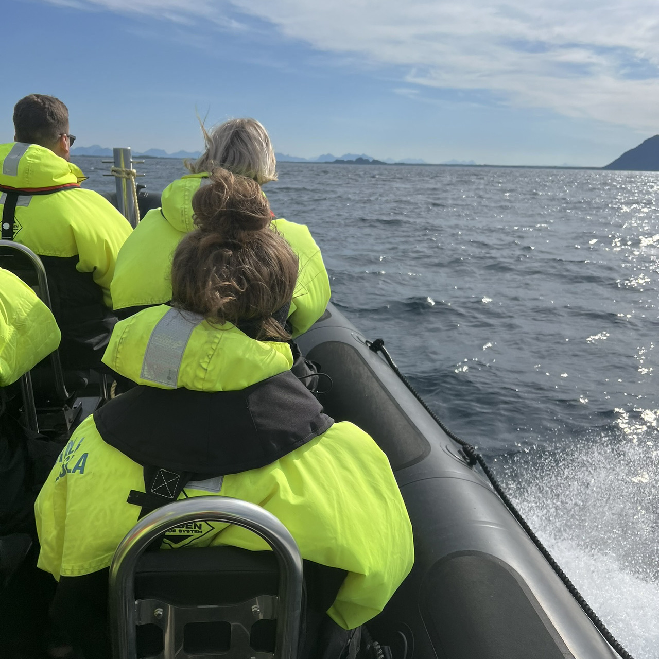 Whale watching, a must do on Lofoten Islands!