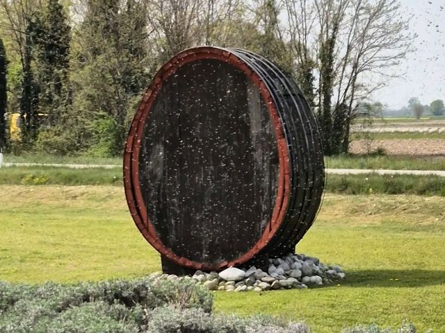 Bees are at work in this local italian winery!