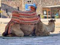 Agadir is full of adventures!!