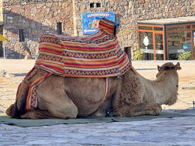 Agadir is full of adventures!!