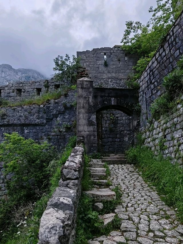 Kotor Fortress Hike 👣