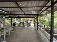 Secret spot for chocolate lovers in Ranong