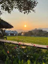 🌿🚂 Phounsouk Garden - สวรรค์ธรรมชาติ 🌿🚂