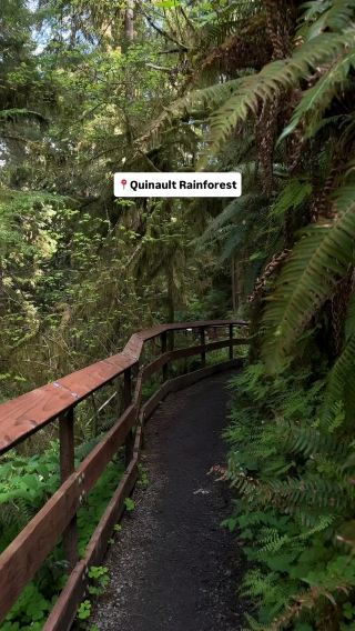 The Ultimate Landmark Guide to Olympic National Park – A Bucket List Adventure!