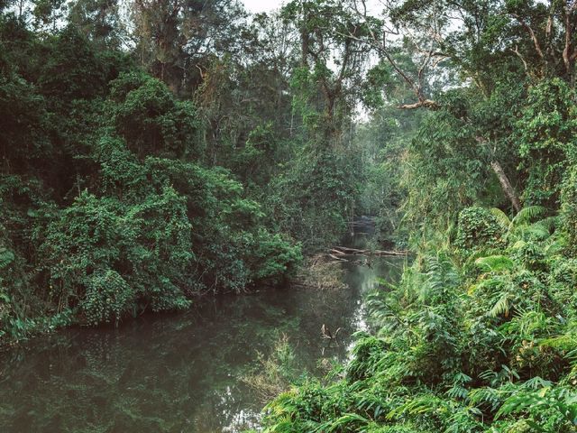 Into the Jungle: Discovering Khao Yai National Park, Thailand.