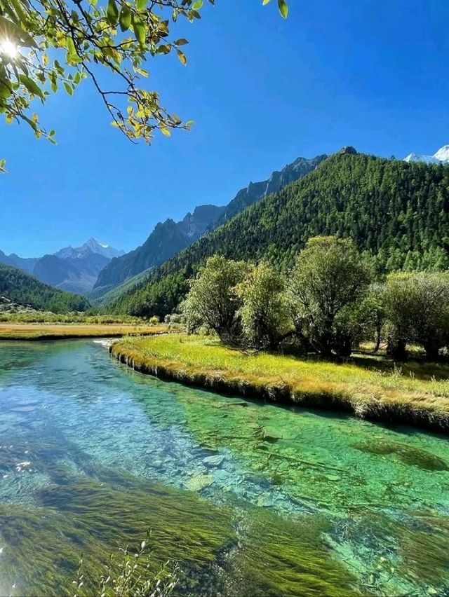 🏔️ Daocheng Yading Scenic Area: A Sacred Shangri-La of China