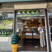 Kamakura🇯🇵Discover the Ultimate Matcha Experience at Kamakura Chacha💚