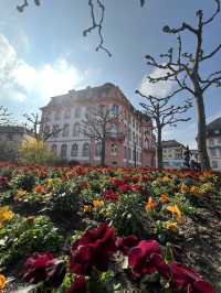 Where History Blooms – A Stroll Through Schillerplatz, Mainz 🕊️🌳