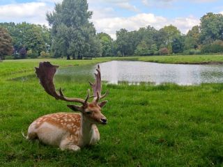 Discover Utrecht: Kasteel de Haar