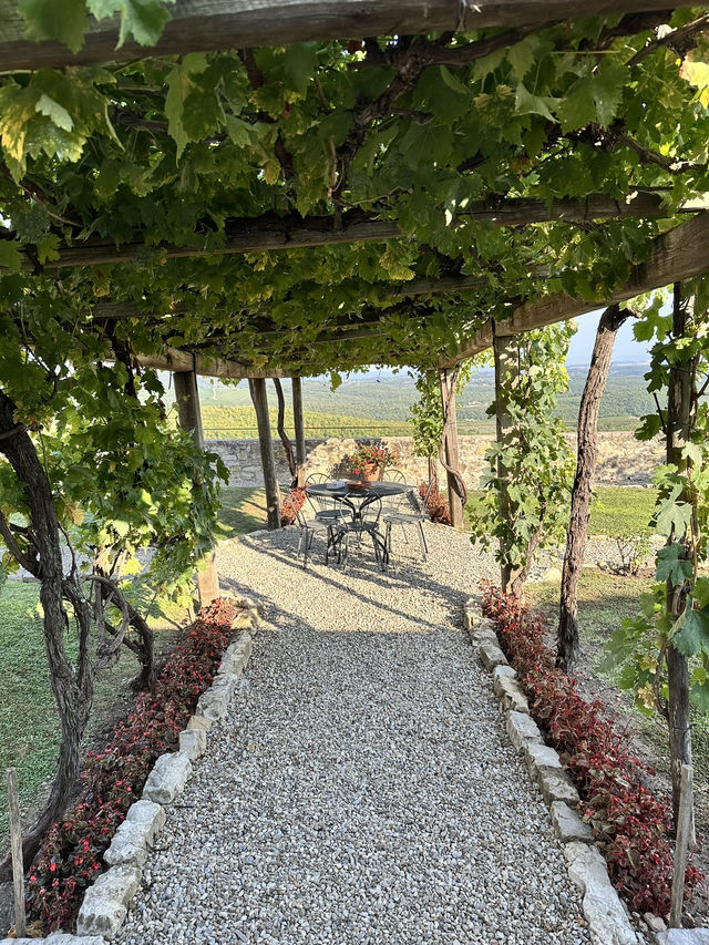 My wine tasting experience in Tuscany’s vineyard Castello Di Cacciano