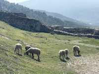 自駕遊 阿爾巴尼亞