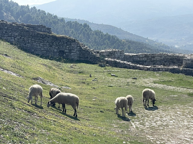 自駕遊 阿爾巴尼亞