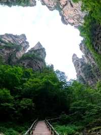 Как Увидеть парк Аватар без толп!