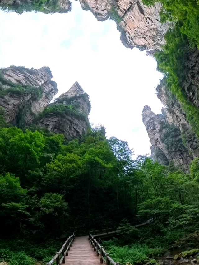 Как Увидеть парк Аватар без толп!