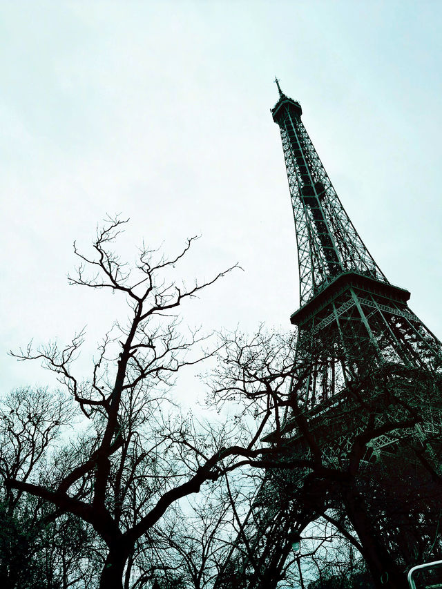 Paris from Above: Big Bus Tour & Eiffel Tower Views 🇫🇷