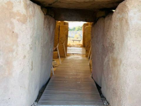 #หลีกหนีฤดูหนาว 🌊 ดำดิ่งสู่มนต์เสน่ห์สีฟ้าครามที่ถ้ำสีน้ำเงินแห่งมอลตา! 🛶✨

ถ้ำสีน้ำเงินตั้งอยู่ไม่ไกลจาก Qrendi ดึงดูดใจด้วยน้ำทะเลสีฟ้าครามที่ชวนหลงใหลและหน้าผาหินปูนที่งดงามตระการตา เป็นสถานที่ที่คนรักธรรมชาติและช่างภาพต้องไม่พลาด! เริ่มต้นเช้าวันใหม่ที่นี่เพื่อสัมผัสแสงที่นุ่มนวล ผู้คนน้อยกว่า และการล่องเรืออย่างสงบสุขผ่านถ้ำทะเลที่มีชื่อเสียง เวลาเปิดทำการอย่างเป็นทางการคือ 9:30 น. – 16:30 น. (วันจันทร์ – วันพฤหัสบดี, วันเสาร์ – วันอาทิตย์) และ 9:30 น. – 17:30 น. (วันศุกร์) ดังนั้นลองไปในช่วงเวลาเช้าเพื่อชมแสงแดดที่สวยงามที่สุดที่สะท้อนกับน้ำทะเลสีฟ้าสดใส

ขึ้นเรือแบบดั้งเดิมของมอลตา (luzzu) – คนขับเรือเป็นกันเองและเต็มไปด้วยเรื่องราว! กิจกรรมที่ห้ามพลาด ได้แก่ การล่องเรือเข้าไปในถ้ำ การตื่นตาตื่นใจกับเฉดสีฟ้าครามที่เปลี่ยนแปลงไป และการสำรวจทิวทัศน์ชายฝั่งโดยรอบ สำหรับการถ่ายภาพที่สวยงาม ถ่ายภาพทางเข้าถ้ำอันเป็นเอกลักษณ์จากจุดชมวิวเหนือลานจอดรถ และเก็บภาพริมน้ำที่แสดงความแตกต่างระหว่างหน้าผาขรุขระและทะเลที่สงบนิ่ง การมาเยือนในตอนเย็นก่อนพระอาทิตย์ตกดินจะยิ่งสวยงามและน่าถ่ายรูปมากขึ้น เพราะแสงที่ส่องลงมาในมุมต่ำจะทำให้สีสันดูโดดเด่น—อย่าลืมพกกล้องมาด้วย!

ถนนแคบๆ ที่คึกคักของเมือง Qrendi ที่อยู่ใกล้เคียงจะเพิ่มเสน่ห์ให้กับวันของคุณ—เดินเล่นพร้อมกล้องเพื่อถ่ายภาพสถาปัตยกรรมสไตล์ตะวันตกและซากปรักหักพังโบราณ หรือแวะทานอาหารในคาเฟ่บรรยากาศอบอุ่นก่อนกลับ ควรสวมรองเท้าที่แข็งแรงเพื่อป้องกันหินลื่น และทาครีมกันแดดในช่วงกลางวัน กระแสน้ำและสภาพอากาศอาจส่งผลต่อการเข้าถึงเรือ ดังนั้นควรตรวจสอบล่วงหน้าหรือสอบถามคนท้องถิ่น เคล็ดลับด้านความปลอดภัย: หากคุณมีอาการเมาเรือ ควรนำยาแก้เมาเรือมาด้วย เพราะเรืออาจโคลงเคลงได้ในสภาพอากาศที่เลวร้าย

#มอลตา #ถ้ำสีน้ำเงิน #Qrendi #ทัศนียภาพธรรมชาติ #การผจญภัยริมทะเล