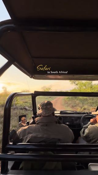 South Africa Safari? ⬇️