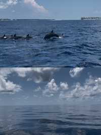 Mahe Island Travel Guide 1