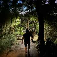 Xiangshan Hiking | Elephant Mountain