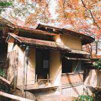 🇯🇵秋遊箱根