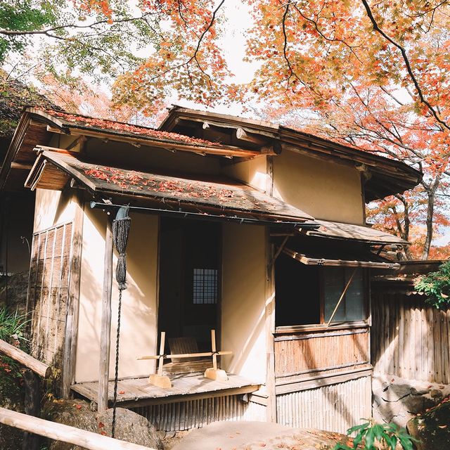 🇯🇵秋遊箱根