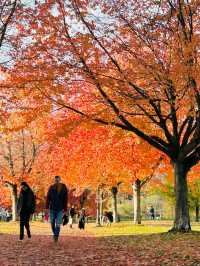 溫哥華史丹利公園攻略，教你玩出不一樣的風景