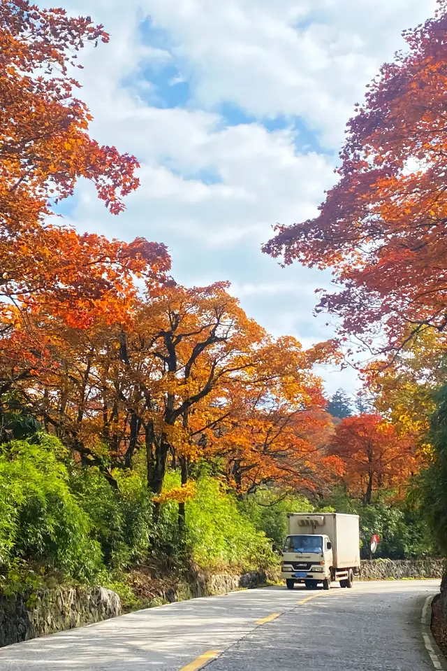 成都周边で楽しい場所はどこですか【峨眉山の秋を楽しむ】最高の観光ガイドを推奨します