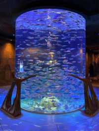 迪拜失落空間水族館