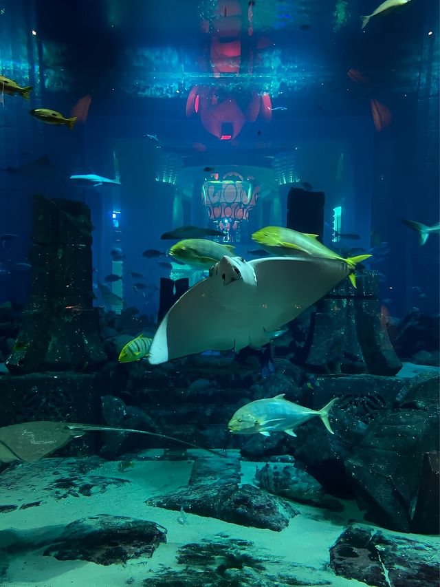 迪拜失落空間水族館