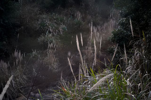 杭州桐廬｜山野裡點著壁爐的房間，民宿是懂浪漫的