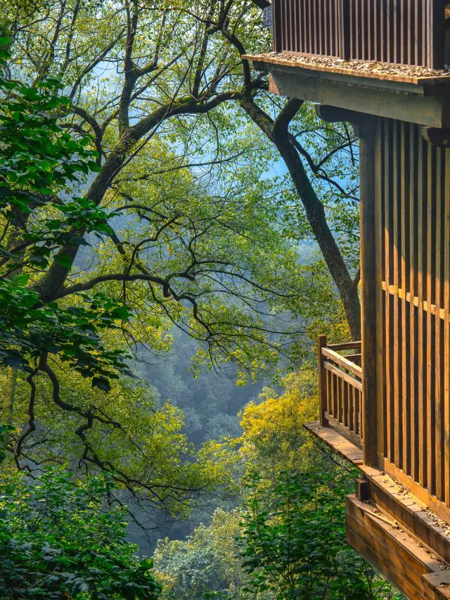 Listen to the advice! Be sure to walk this ancient road before leaving Chongqing