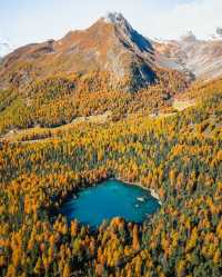 Swiss Autumn Marvels in the Grisons 🍁🏔️🚐