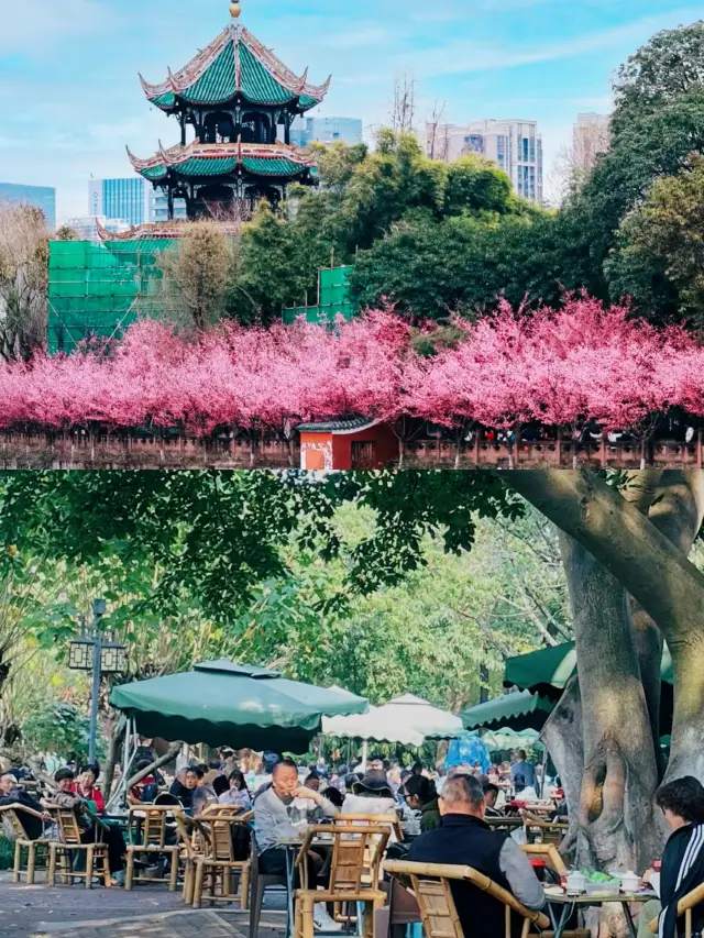 Wangjiang Tower|Not only ancient style photography, but also the culture of poetry and bamboo in the flower style