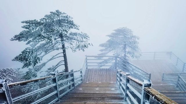 2024年1月16日，轿子雪山又又又下雪了！