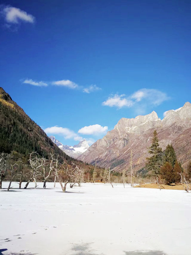 家人們誰懂啊下雪後的四姑娘山太漂亮了