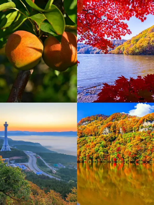 You must visit the Northeast in autumn, here's a travel guide