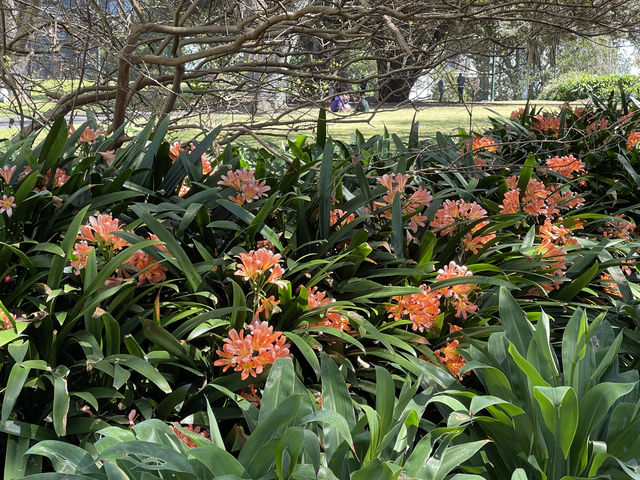 墨爾本旗杆花園