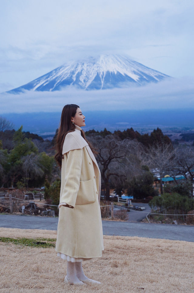 又是花式看富士山的一天，依然是選擇了包車一日遊，因為冬天天黑得早，我們選擇了7點就從東京開車出發了