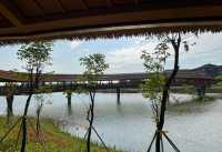 身邊的風景，集“萬千功能於一體”的市級公園！！