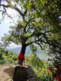 石竹山的遊玩攻略