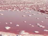 少女心粉色鹽湖-伊朗-設拉子的天空之境